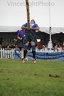 IMG 3510 copy