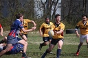 IMG 3532