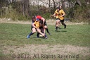 IMG 4192