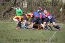 IMG 4221