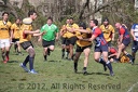 IMG 4224