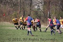 IMG 4267