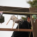 IMG 7859