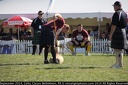 IMG 0221