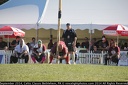 IMG 0278