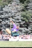 IMG 3388