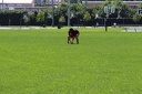 IMG 0229