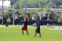 IMG 0236