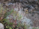 DSCN0340