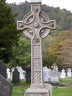 DSCN0353