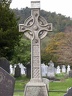 DSCN0354