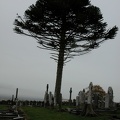 DSCN0455