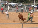 DSCN1621