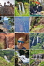 1010071745-COLLAGE